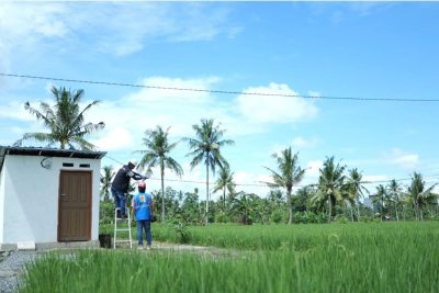 Produksi pertanian Sidrap meningkat berkat program EA PLN