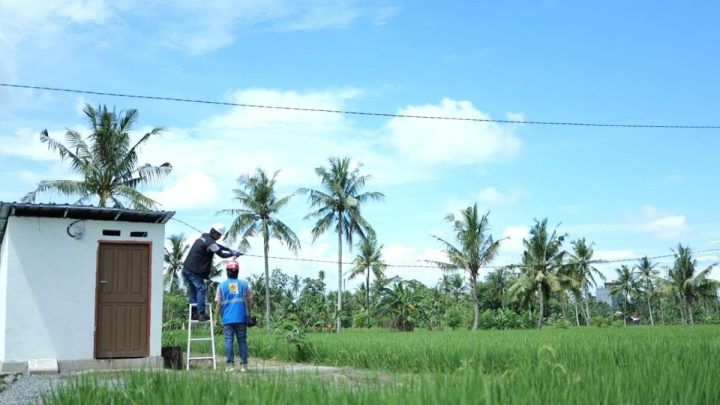 Produksi pertanian Sidrap meningkat berkat program EA PLN