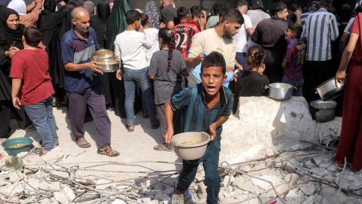 PBB: 700.000 anak di Jalur Gaza tak dapat pendidikan layak
