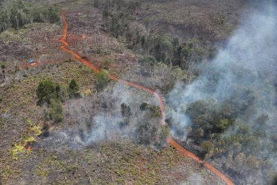 Kemenhut tetapkan dua korporasi tersangka karhutla, termasuk satu PMA