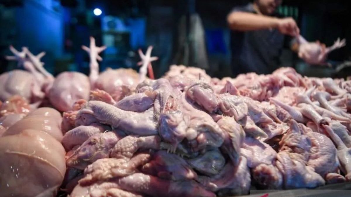 Usus ayam bukan sekedar jeroan, ini manfaatnya