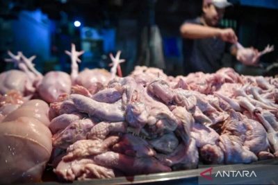 Usus ayam bukan sekedar jeroan, ini manfaatnya