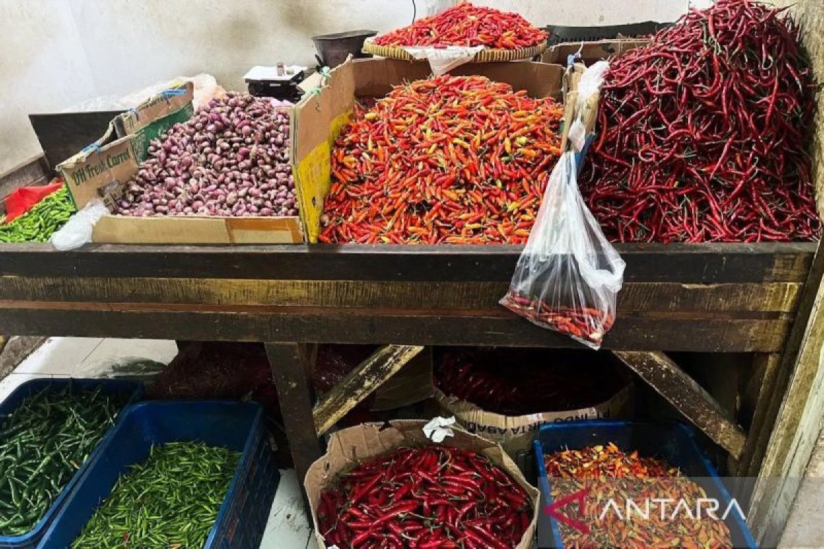 Program Terbaru: Jumat pagi, harga cabai rawit Rp84.650/kg, telur ayam Rp32.650/kg