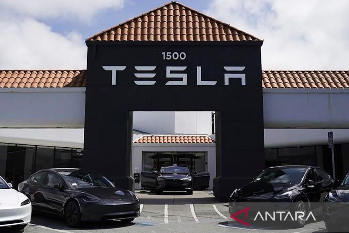 Important Visit: Tesla hadirkan aplikasi Robotaxi untuk pengguna Android