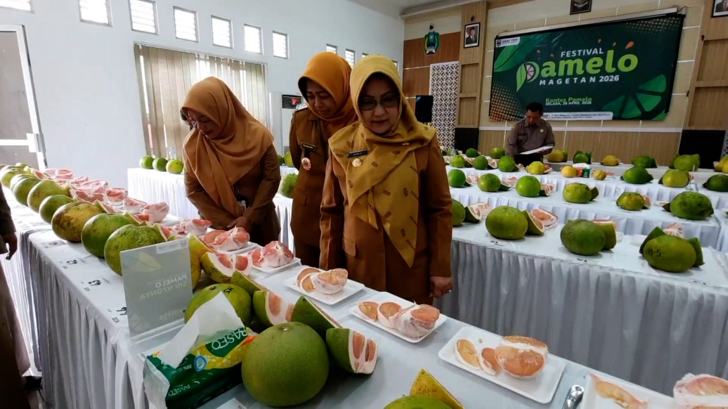 Pemkab Magetan perkuat jeruk pamelo sebagai komoditas unggulan