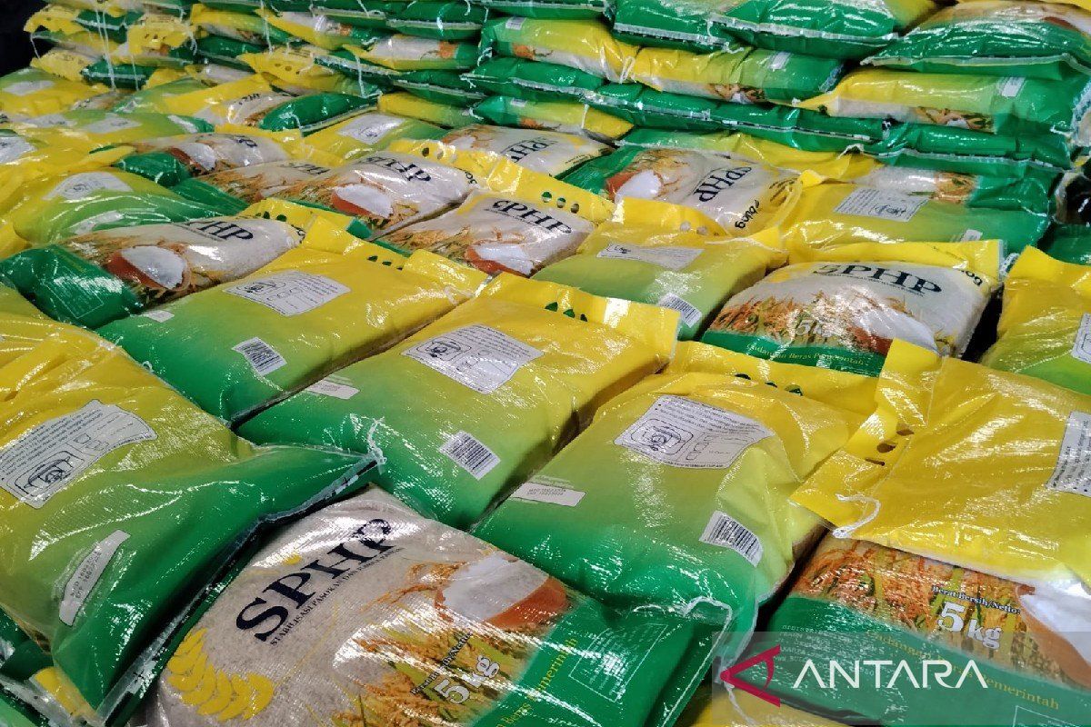 Kementan optimistis stok beras aman hadapi El Nino