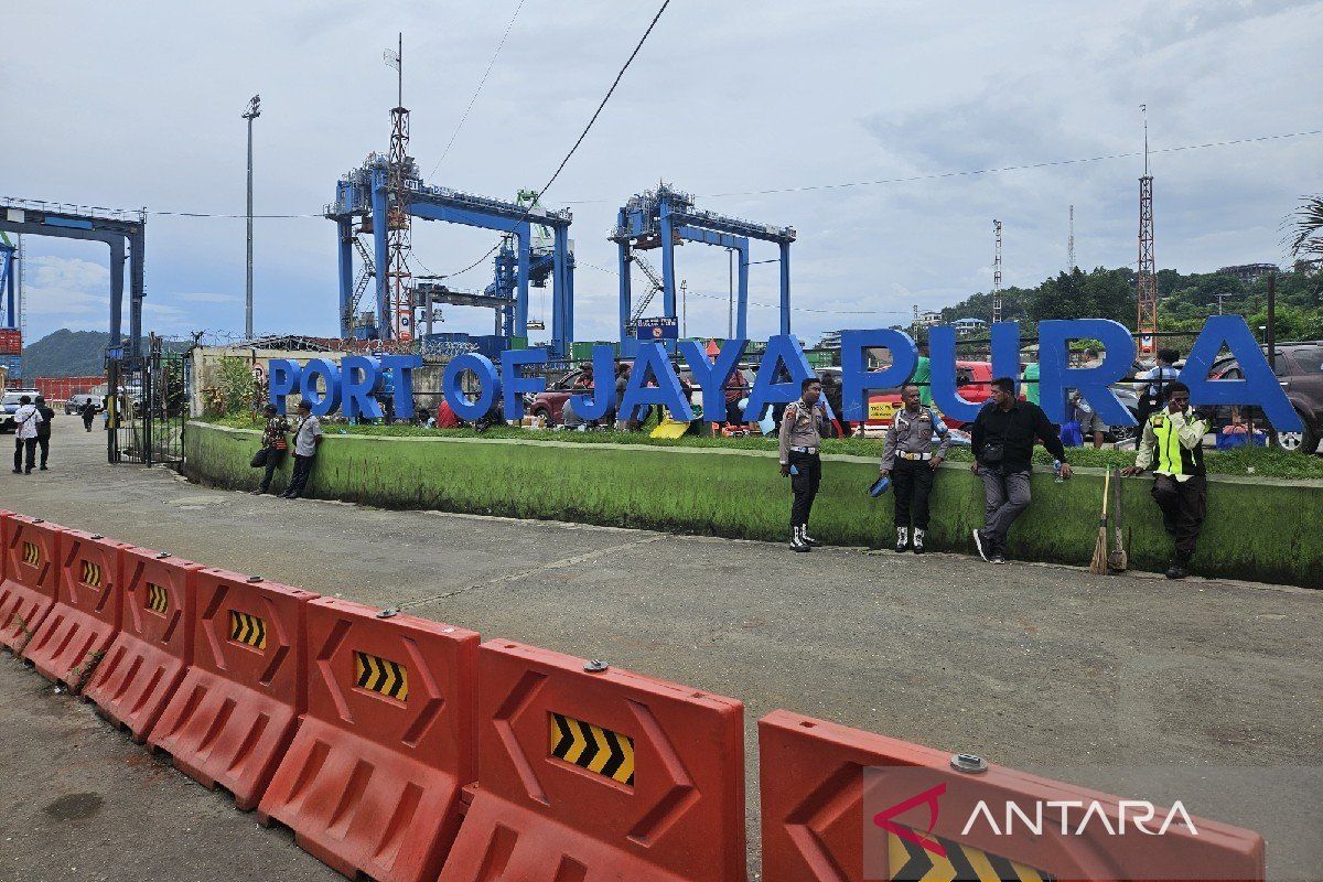 BPS catat ekspor di Papua masih bertumpu pada komoditas kayu