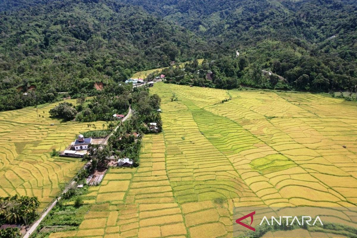Special Plan: Warga surati Presiden untuk tolak tambang emas di Beutong Ateuh Aceh