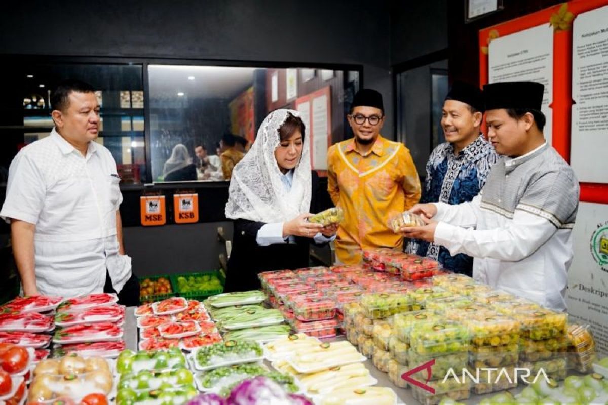 Special Plan: MBG terus diperbaiki untuk perkuat sistem ketahanan pangan nasional