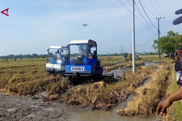 AYM_ANTISIPASI-KEMARAU-EL-NINO-GODZILA_1