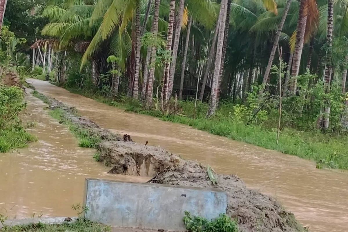 BPBD Sulteng laporkan dua desa terendam banjir di Parigi Moutong
