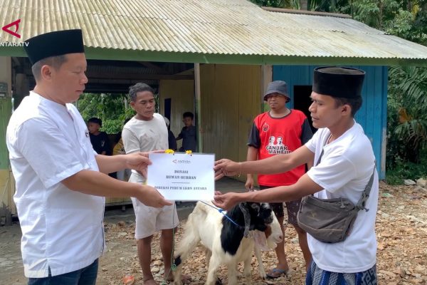 SANS_ANTARA-SALURKAN-HEWAN-KURBAN-BAGI-MASYARAKAT-ADAT-SELENA-DI-PALU