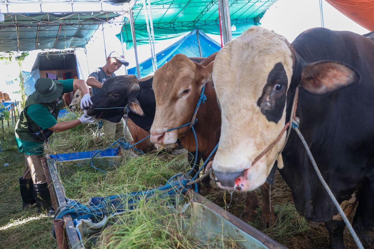 Topics Covered: Kandang, kurban, dan kepercayaan publik