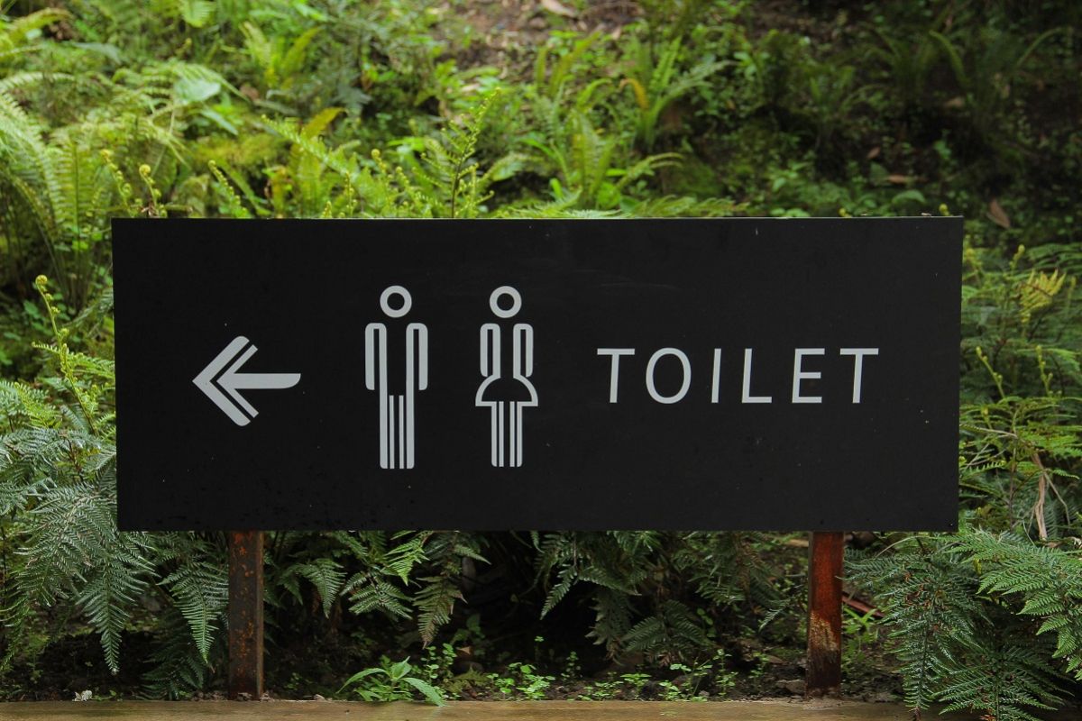Solution For: Kebiasaan duduk di toilet lebih dari 15 menit bisa picu risiko wasir