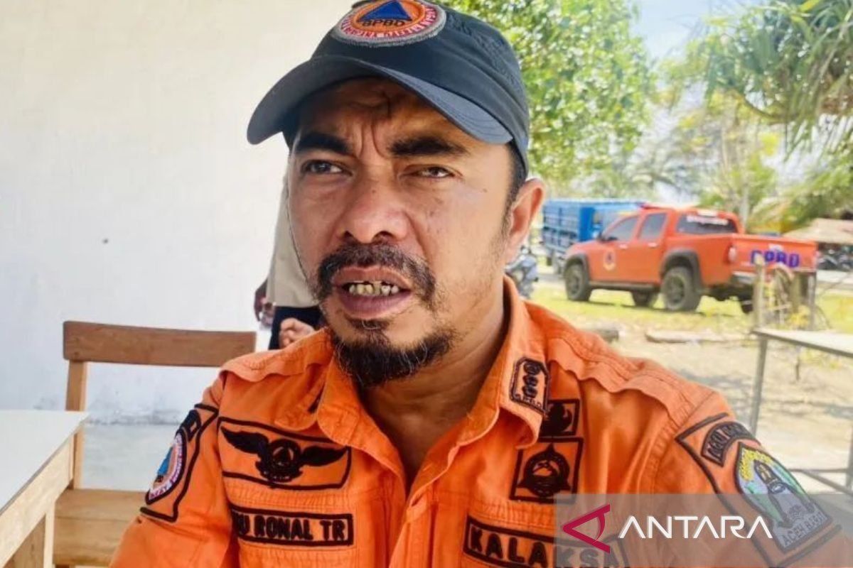 BPBD: Karhutla di Aceh Barat berhasil dipadamkan
