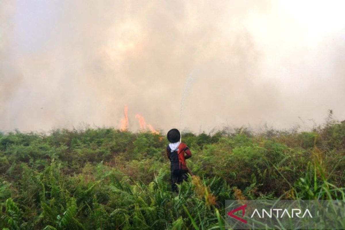 BNPB kerahkan helikopter bom air tangani perluasan karhutla Aceh Barat
