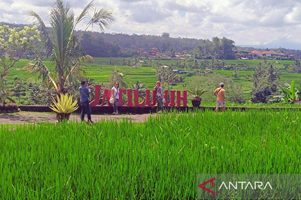 Special Plan: FAO Indonesia jadikan Tri Hita Karana contoh transformasi pertanian