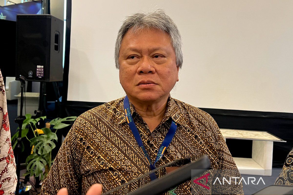New Policy: Pengamat: Revisi TBA tiket pesawat tepat demi operasional penerbangan