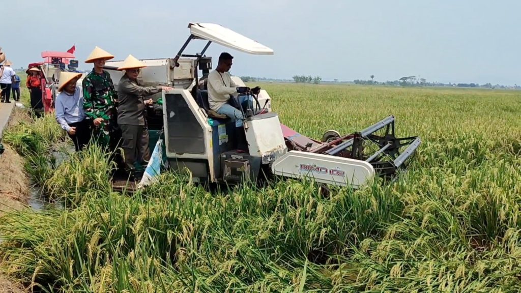 GUBERNUR-BANTEN-AJAK-PETANI-SUARAKAN-KEBERHASILAN-PROGRAM-PERTANIAN