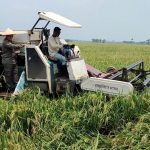 GUBERNUR-BANTEN-AJAK-PETANI-SUARAKAN-KEBERHASILAN-PROGRAM-PERTANIAN