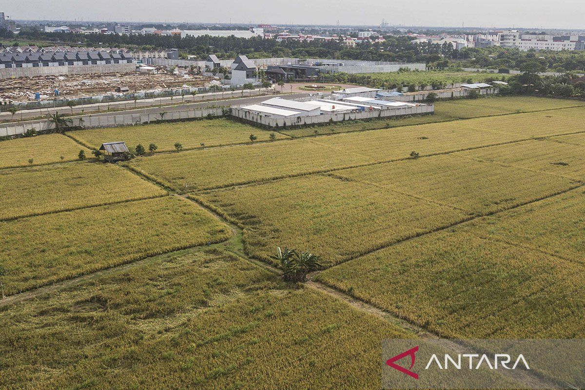 Key Discussion: Sawah abadi untuk masa depan bangsa