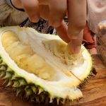 SENSASI-MENIKMATI-DURIAN-SEPUASNYA-LANGSUNG-DARI-KEBUN-DI-ACEH-BESAR