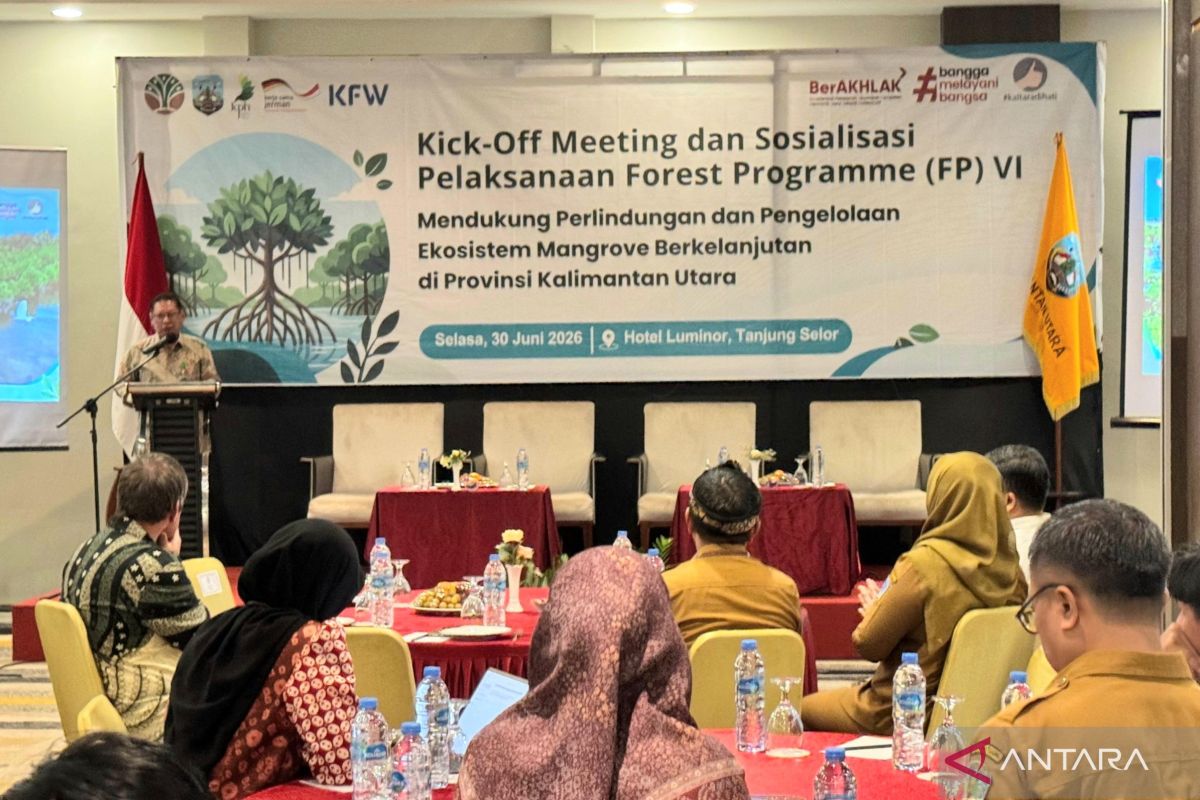 New Policy: Pemerintah jalin kerja sama internasional rehabilitasi mangrove