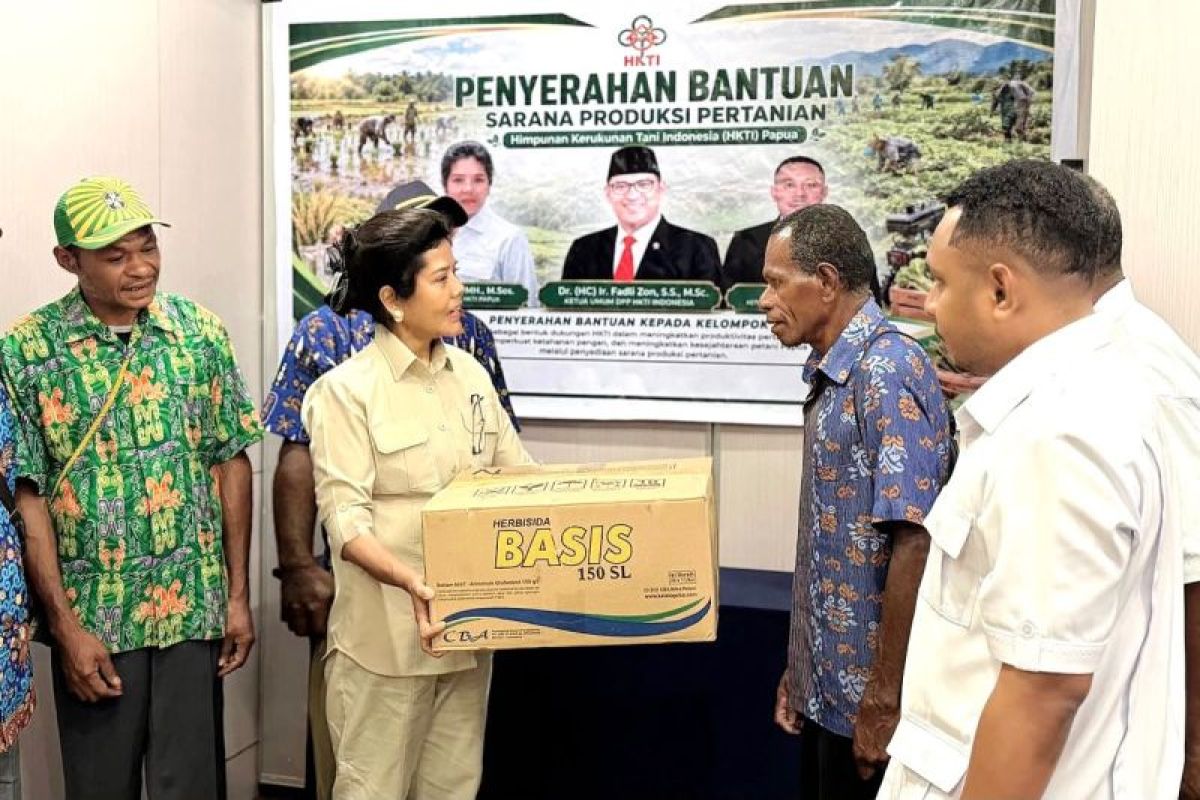 HKTI: Papua miliki peran penting perkuat ketahanan pangan nasional
