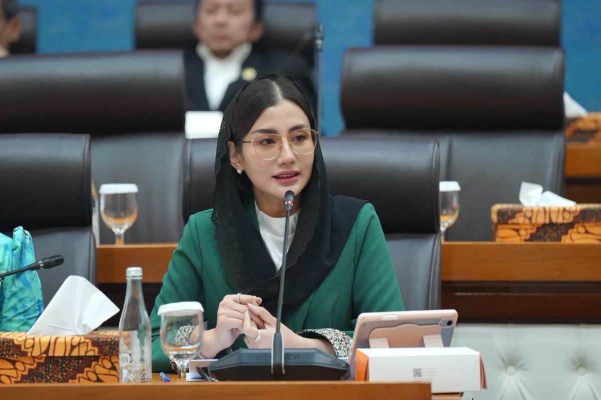 Main Agenda: DPR minta pemerintah perkuat regulasi perlindungan UMKM era digital