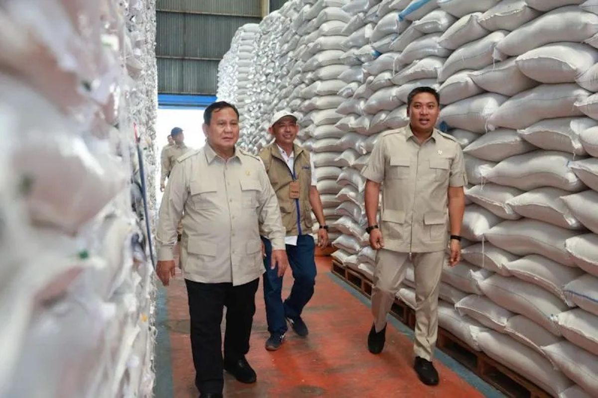 New Policy: Indef: Rencana ekspor beras ke Singapura peluang serap surplus RI
