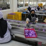 capaian-kinerja-ekspor-produk-jamu-di-jawa-tengah-2712030