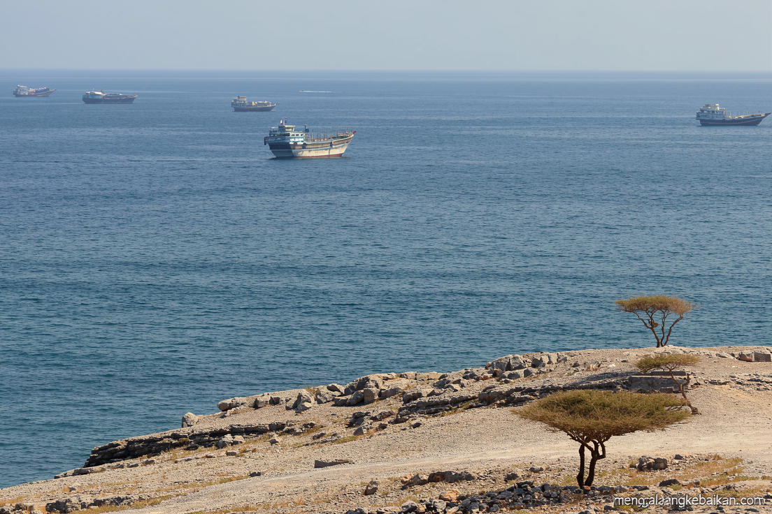 Menlu Oman dan Arab Saudi bahas keamanan maritim di Selat Hormuz