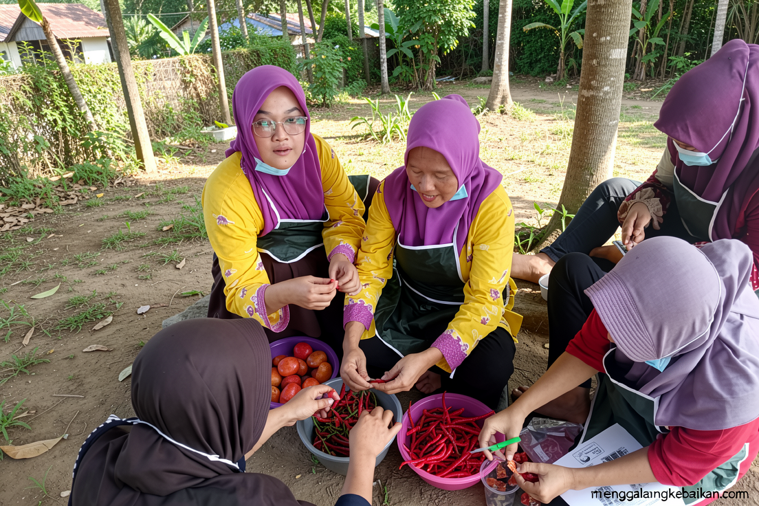 Warga Kepulauan Seribu diberi pelatihan diversifikasi olahan hasil pertanian