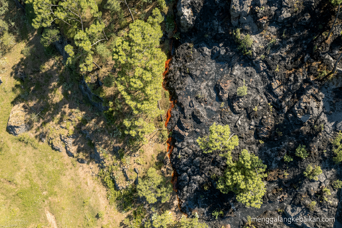 Sekitar 60 hektare hutan kawasan Gunung Bromo terbakar
