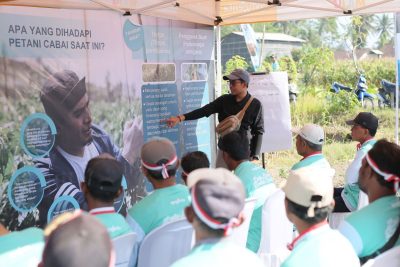 Syngenta luncurkan inovasi atasi serangan “thrips” pada cabai