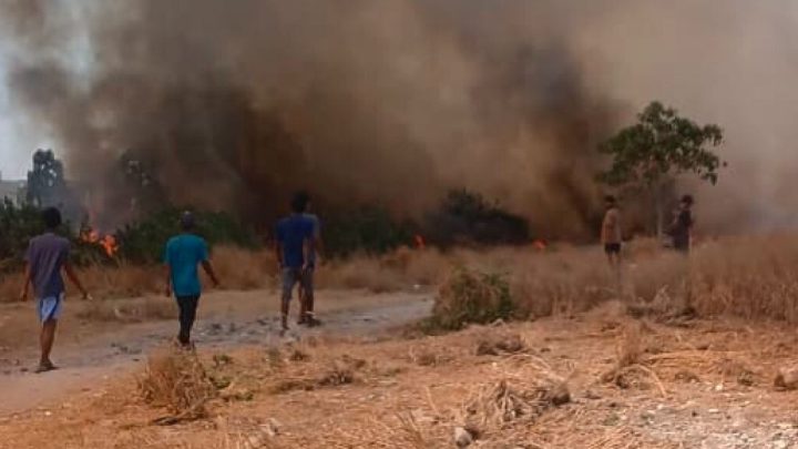 Kebakaran lahan di Jakut diduga akibat api dari puntung rokok