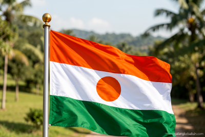 Puluhan prajurit di Niger ditahan usai gagal kudeta