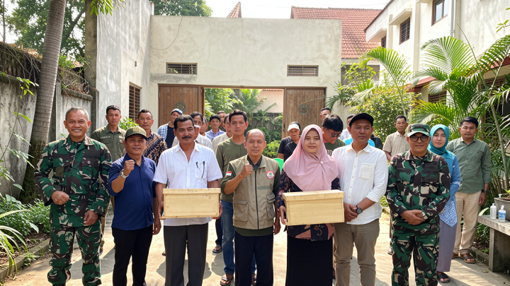 TNWK kembangkan pagar sarang lebah untuk cegah konflik gajah-manusia